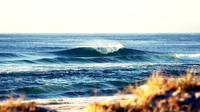 7-Day Byron Bay, Evans Head and Moonee Beach Surf Safari from Brisbane, Gold Coast or Byron Bay