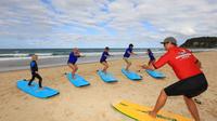 Fingal Head Learn to Surf Day Trip from the Gold Coast or Byron Bay