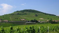 Beaujolais Full Day Wine Tasting Tour 