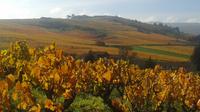 Beaujolais Half Day Wine Tasting Tour 