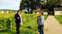 Visite privée: Bourgogne Day Tour avec dégustation de vin de Lyon