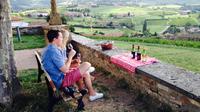 Private Tour: Half-Day Beaujolais Tour with Wine Tasting from Lyon
