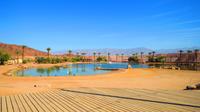 Eilat 3 Parks Tour: Timna Park and Eilat Bird Sanctuary and Coral Beach