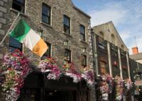 Dublin Historical Walking Tour including Trinity College