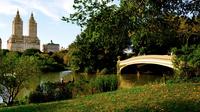 Central Park Photo Tour