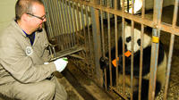 One-Day Dujiangyan Giant Panda Base Volunteering and Irrigation System Tour