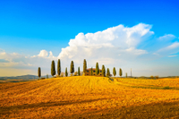 Excursión de un día en grupo a la región vinícola de la Toscana desde Florencia con una cata de vinos y almuerzo Excursión de un día en grupo a la región vinícola de la Toscana desde Florencia con una cata de vinos y almuerzo