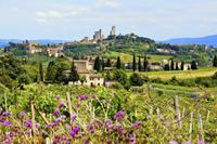 Small-Group Tuscany Wine Country Day Trip from Rome Including Wine Tasting