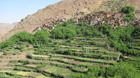 Overnight Hike in the Berber Villages from Marrakech 