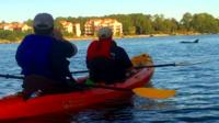 Dolphins at Sunset Kayak Tour