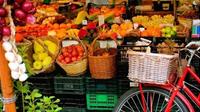 Goûtez la ville Visite de Rome alimentaire