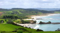 Private Day Trip to Tawharanui Regional Park from Auckland