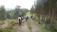 Half Day Horseback Riding Tour from Cusco