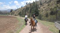 Horseback Riding Cusco: Experience the Peruvian Paso Horses