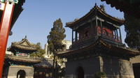 Private Day Tour: Classic Beijing Highlights With Muslim Culture Experience