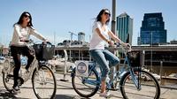 Ultimate Bike Tour: All-Day All-Inclusive All-City