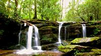 Great Smoky Mountains Waterfall Adventure