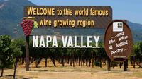 Napa Valley Small Group Wine Tour