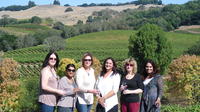 Northern Sonoma Small Group Wine Tour