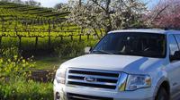 Private SUV Wine Tasting Excursion 