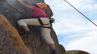 All-Day Rock Climbing Adventure in Joshua Tree National Park