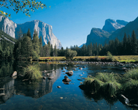 Excursion d'Une Journée au Parc national de Yosemite, au départ de San Francisco