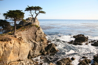 Excursion d'Une journée à Monterey, Carmel et la route des 17 miles au départ de San Francisco
