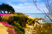 Excursion privée d'Une journée à Monterey et Carmel au départ de San Francisco