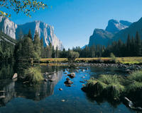 Private Yosemite National Park Day Trip from San Francisco