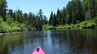 1-Day Algonquin Art and Kayak or Canoe Eco-Tour