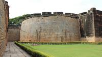 Private Walking Tour: In the Footsteps of the