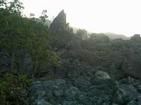 Llandewey Tourisme et Nature Excursion de Kingston