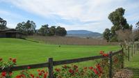 Yarra Valley et Vignobles Journée Trike voyage privé pour deux de Melbourne