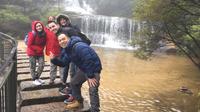 Blue Mountains and Australian Wildlife Experience Eco Tour