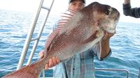 Gold Coast Half-Day Fishing Charter