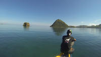 Diving Day Trip in the Komodo National Park