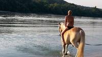 Private Horse Riding near Budapest with Lunch