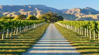 Full-Day Marlborough Wine Tour Including Wine Tasting