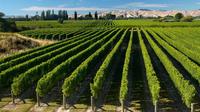 Half-Day Marlborough Wine Region Tour from Picton or Blenheim