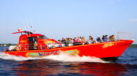 1000 Islands High-Speed Adventure Cruise