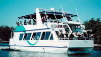 90-Minute 1000 Islands Sightseeing Cruise