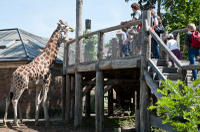 Skip the Line: London Zoo Tickets