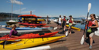 Half-Day Sea Kayaking Tour on Quadra Island