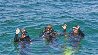 Discover Scuba Diving in Albufeira