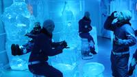 IceBar Melbourne Admission