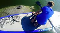SoBe Surf Florida Paddle Board and Kayak Eco Manatee Tour
