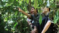 Rain Forest Nature Walk Expedition and Banana Plantation from Limon
