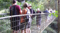 Rainforest Skywalk and Tarcoles River Eco Cruise Tour