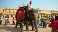 Jaipur privé Visite guidée Y compris le Fort Amer et Jantar Mantar avec un tour d'éléphant