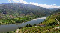 Full-Day Tour: Douro Valley Trip from Porto